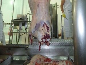 Nula estrategia del Gobierno para abrir mercados preocupa a exportadores de carne · Radio Monumental 1080 AM