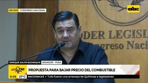 Para frenar la suba del combustible, Buzarquis plantea redireccionar impuestos hacia otros productos - ABC Noticias - ABC Color