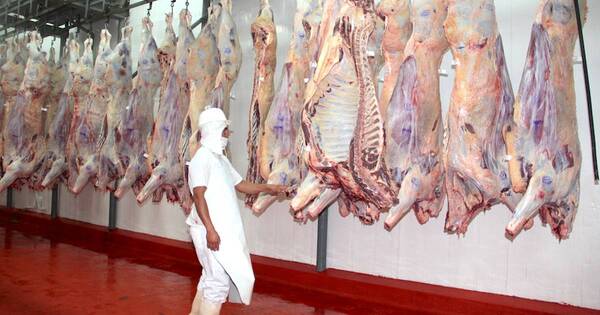 La Nación / Exportación de carne: habilitación de EEUU será un “pasaporte” para apertura de más mercados, sostienen