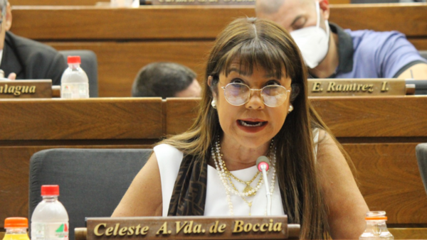 “No hice referencia a Celeste Amarilla” - El Independiente