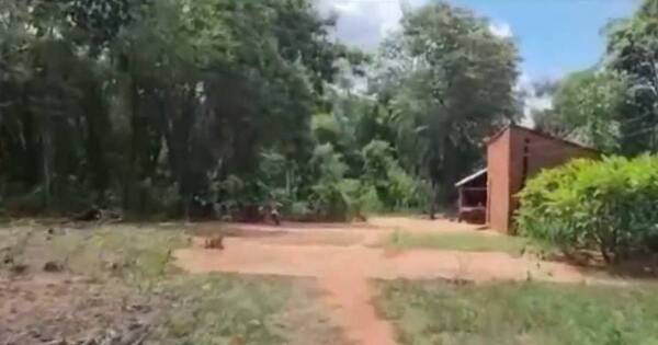 La Nación / Tacuatí: lo amenazaron de muerte si no vendía sus vacas y hoy amaneció sin vida