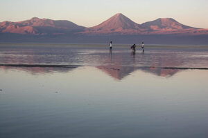 La autoridad ambiental chilena multa a una minera por daño al Salar de Atacama - MarketData