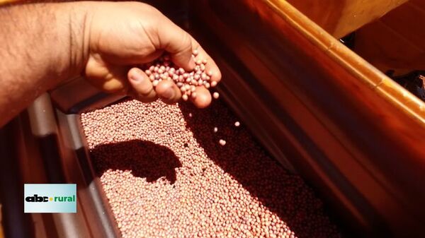 Estrategia de manejo de enfermedades en soja en el Corteva Day - ABC Rural - ABC Color