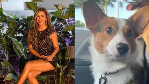 Crónica / VÍDEO] El ingueroviable menú de los perros de Jessica Sly