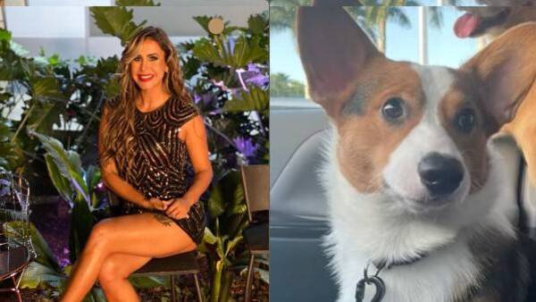 Crónica / VÍDEO] El ingueroviable menú de los perros de Jessica Sly