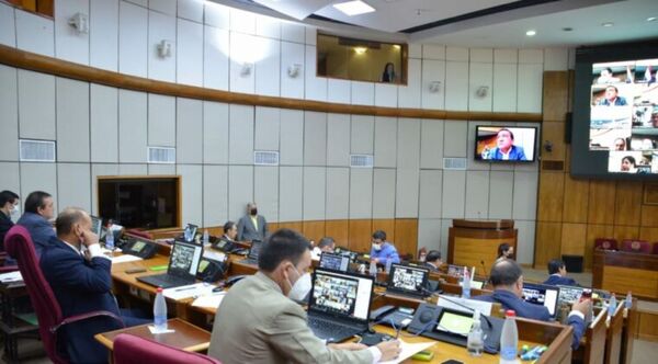 Combustible: Senado insta a buscar acuerdos para compras directas - Radio Imperio
