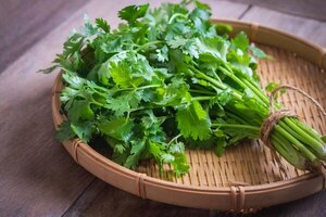 Las propiedades del kuratu más allá de la gastronomía