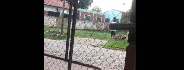 Crónica / Joven murió garroteado por vecinos en Roque Alonso