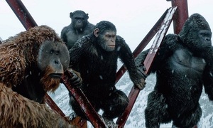 El estreno de “El Planeta de los simios: la guerra” a un paso | Telefuturo