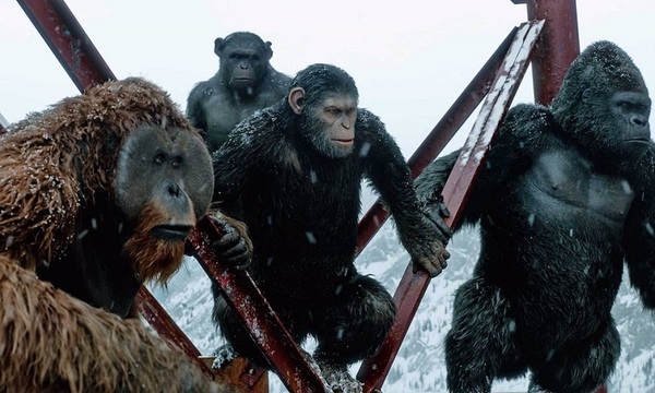 El estreno de “El Planeta de los simios: la guerra” a un paso | Telefuturo