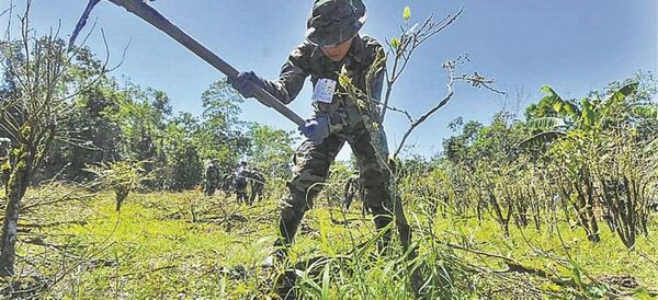 El JIFE reporta incremento “sin precedentes” de cocaína de Bolivia y Perú en Europa