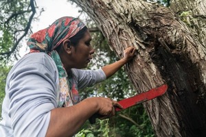 Diario HOY | Mujeres del Chaco gestan el desarrollo sustentable de su región