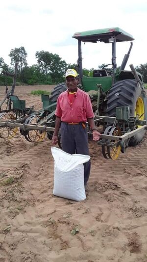 Volver a sembrar es la alternativa para pequeños productores de Mariscal Estigarribia - Noticias del Chaco - ABC Color