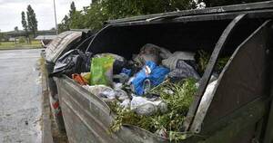 La Nación / Encarnación incorpora servicio de recolección para residuos de jardines