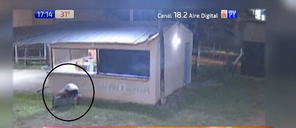 Solitario ladrón causa zozobra en Luque | Noticias Paraguay