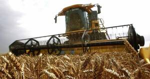 La Nación / Mercado chileno se suma como una opción para envíos de trigo