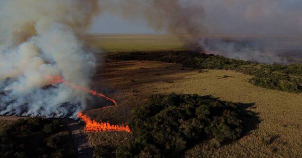 La Nación / Emisiones récord de CO2 por incendios forestales