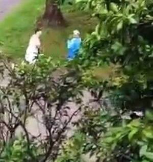 Crónica / [VIDEO] Anciano es agredido por una doña "nervia" en plena calle