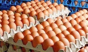 Productores de huevo exigen al Gobierno combatir el contrabando y advierten con nueva suba - ADN Digital