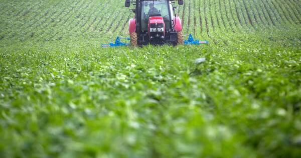 La Nación / Cotización de commodities continúa al alza, resaltan