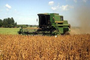 Precios de principales commodities se mantienen altos