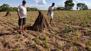 Estafa con créditos en CAH acorrala a campesinos con grandes deudas