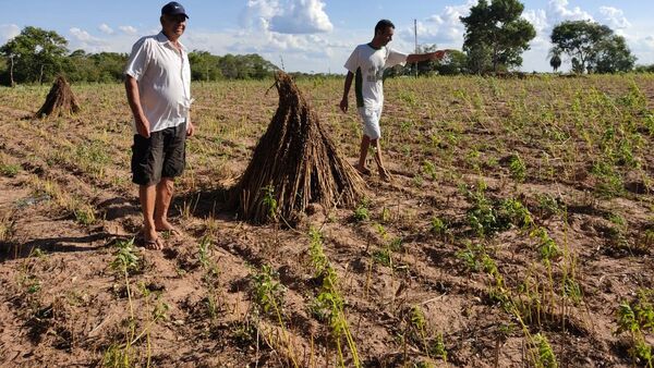 Estafa con créditos en CAH acorrala a campesinos con grandes deudas