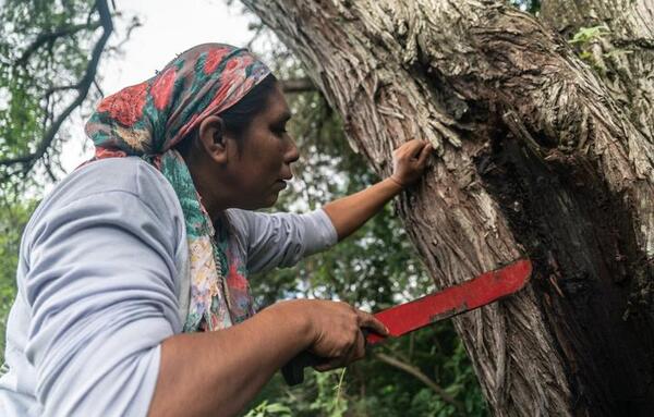 Mujeres del Gran Chaco Americano son protagonistas del desarrollo sustentable