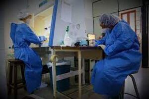 Salud detecta 115 nuevos contagios y 9 fallecidos por Covid-19