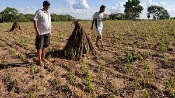 Estafa con créditos en CAH acorrala a campesinos con grandes deudas