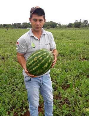 Horticultor de Caaguazú logró instalar semillero de tomate e invernaderos mediante apoyo del gobierno - El Trueno