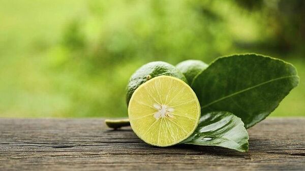 Los limones y sus beneficios para la salud  - Estilo de vida - ABC Color