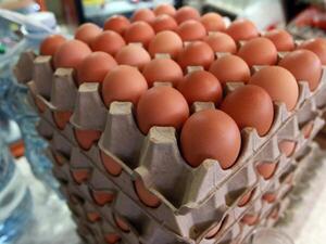 Diario HOY | Contrabando derivó en falta de huevos en el mercado local, afirman productores