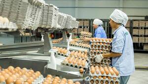 Capasu: preocupa escasez de huevo y analizan realizar paro contra el contrabando