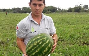 Horticultor logró instalar semillero de tomate e invernaderos en Caaguazú – Prensa 5