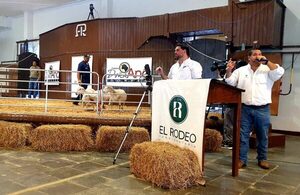 El Rodeo vendió el 100% de los Dorper de Doña Ana: “Un gran empuje para el sector ovino”