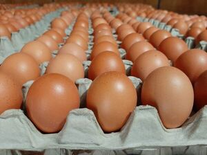 Paraguay se queda sin huevos por culpa del contrabando, dice Capasu - Nacionales - ABC Color