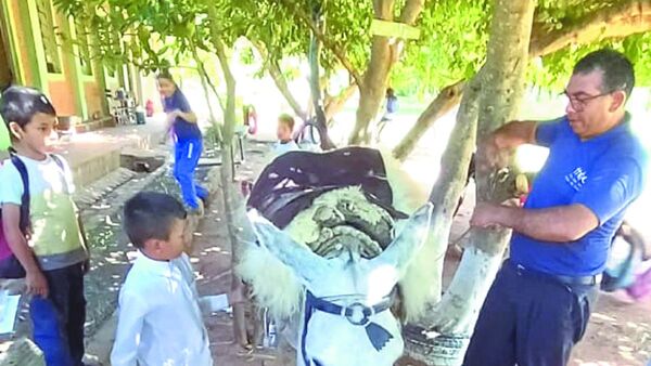 Niños siguen recibiendo bicis para ir a la escuela