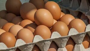 Preocupa escasez de huevos en comercios del país