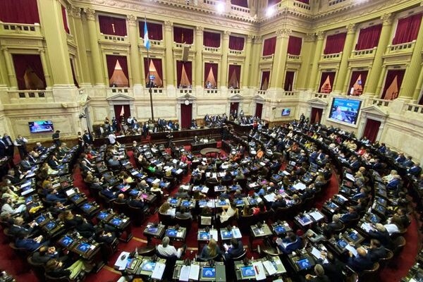 Senado de Argentina inicia la discusión del nuevo acuerdo con FMI - Mundo - ABC Color