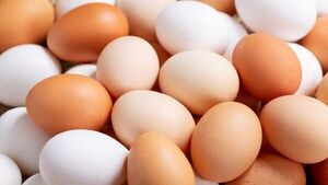 Desabastecimiento de huevos es por culpa del contrabando, sostiene Capasu