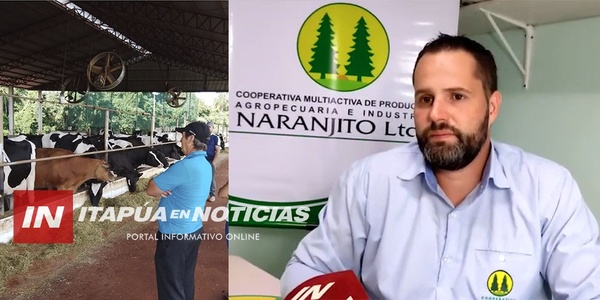 PRODUCCIÓN LECHERA AVISTA MEJORAS CON BUEN CLIMA - Itapúa Noticias