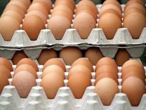 Preocupa falta de abastecimiento de huevo en centros comerciales - 1000 Noticias