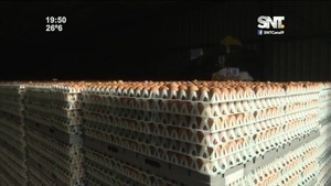 Economía en destaque: Producción de carne, soja y huevos - SNT