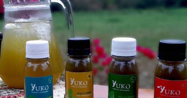 La Nación / Para mate o tereré: jóvenes preparan extracto de yuyos en varias presentaciones
