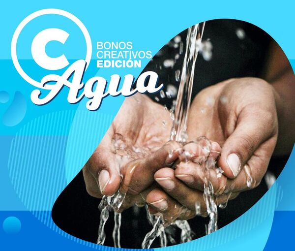 Otorgarán bonos creativos a proyectos digitales vinculados al agua - Cultura - ABC Color