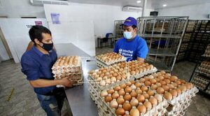 Huevos: contrabando y sequía encarecen precios, no la Semana Santa, aclaran