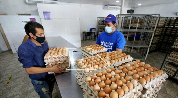 Huevos: contrabando y sequía encarecen precios, no la Semana Santa, aclaran