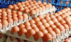 El precio de los huevos aumentó un 23% y no abastece el mercado - ADN Digital