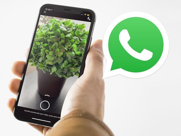 Diario HOY | Nuevo modo para sacar fotos llega a WhatsApp en todos los celulares: de qué se trata